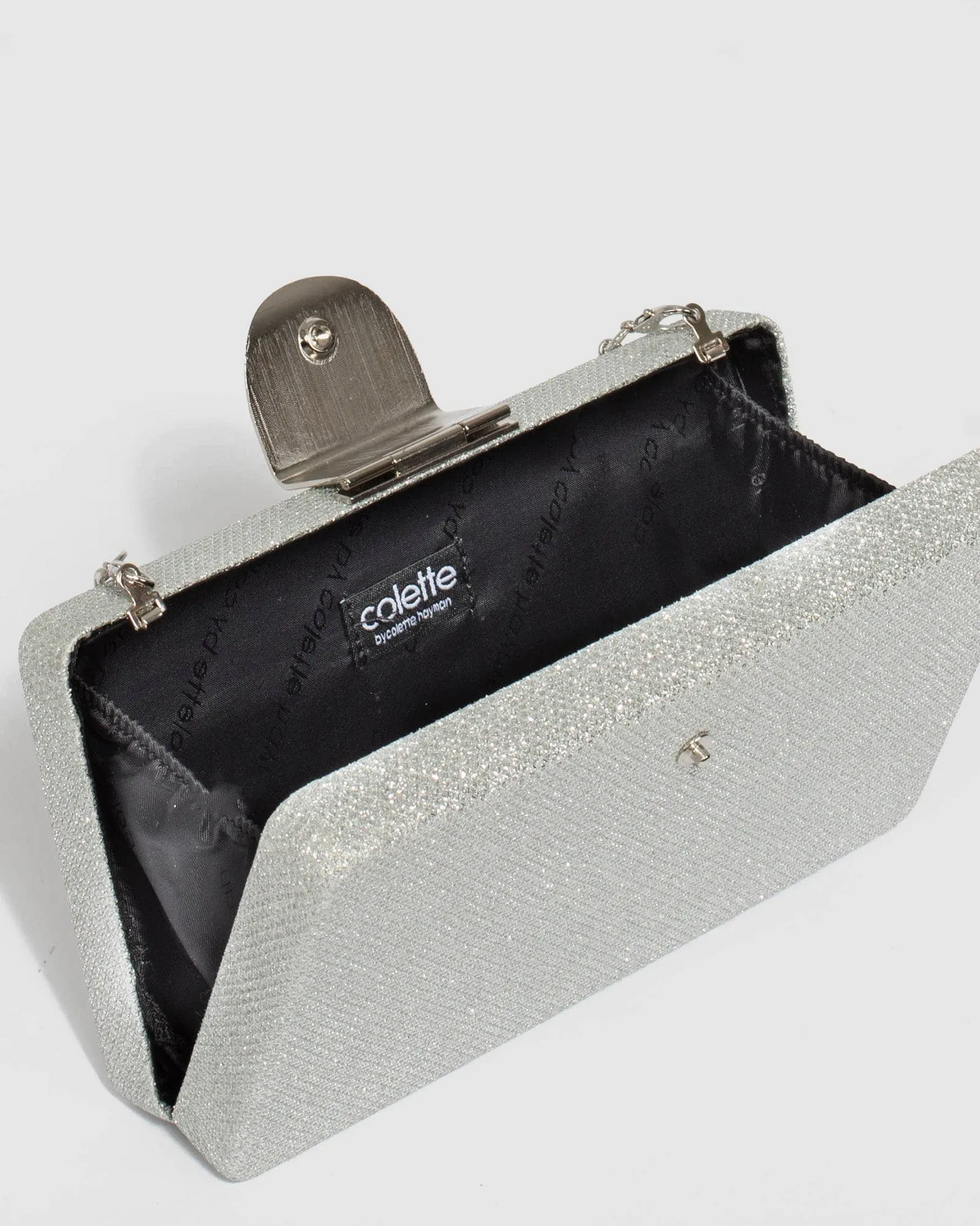 Ajala Clasp Hardcase Silver Clutch Bag
