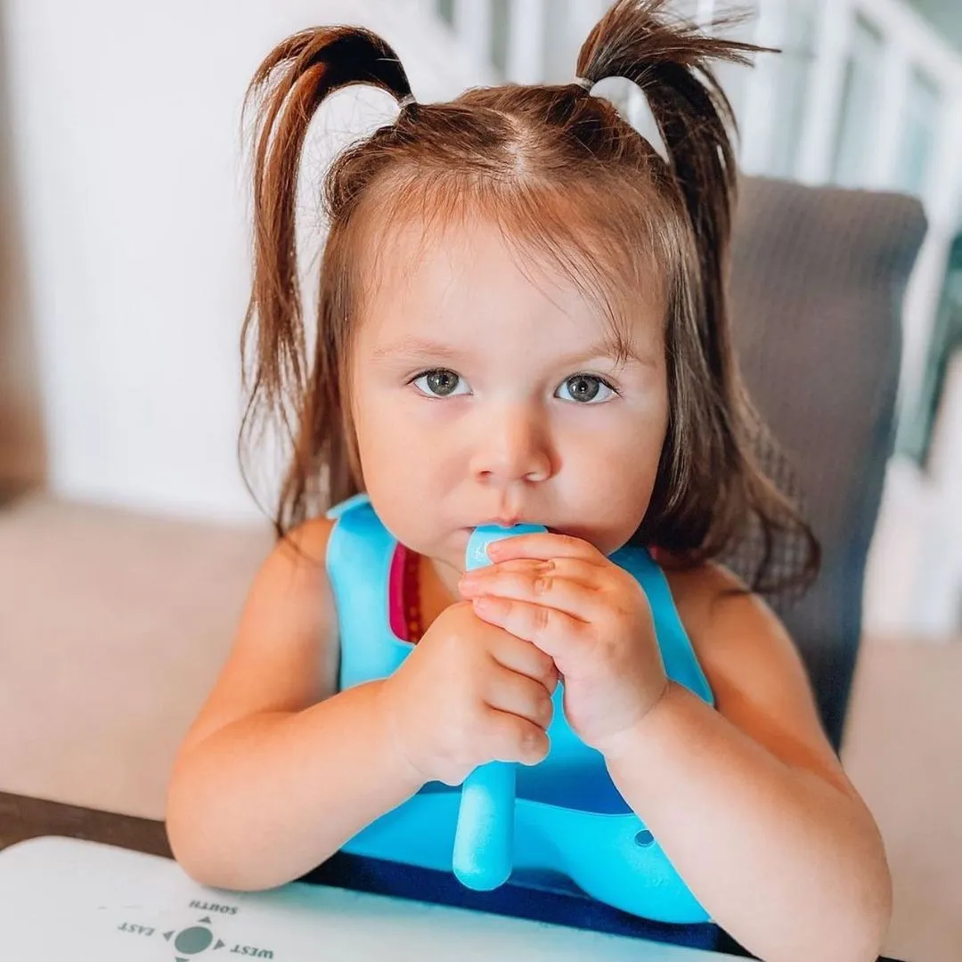 Roll & Go Silicone Bib Gift Set (9 color options)
