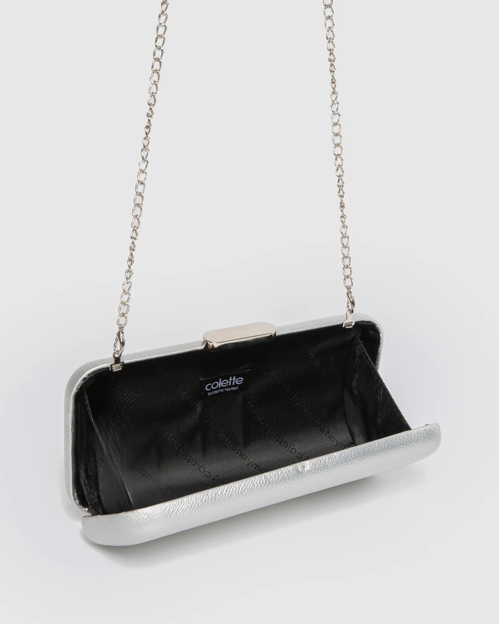Silver Marlee Hardcase Clutch Bag
